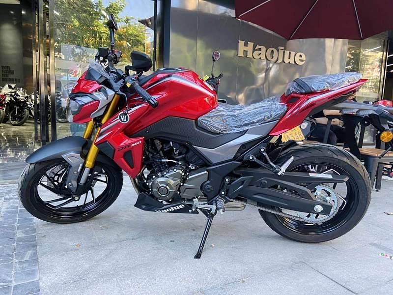 GSX250战DR300哪一个会更好一些？