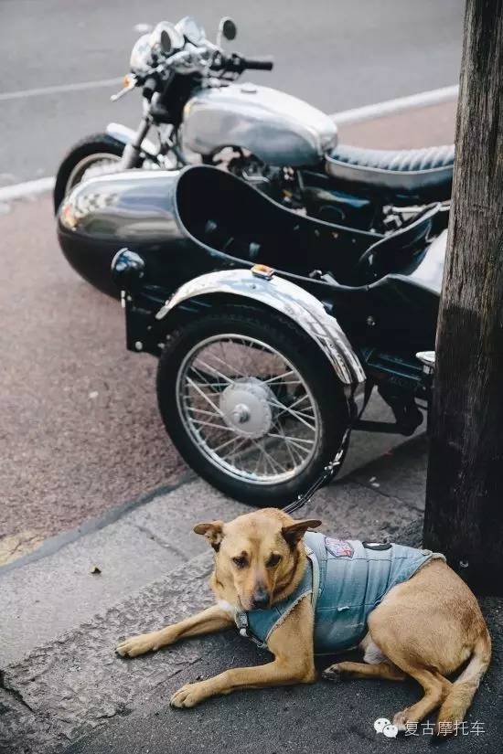 每日一车 | Yamaha SR400 Sidecar