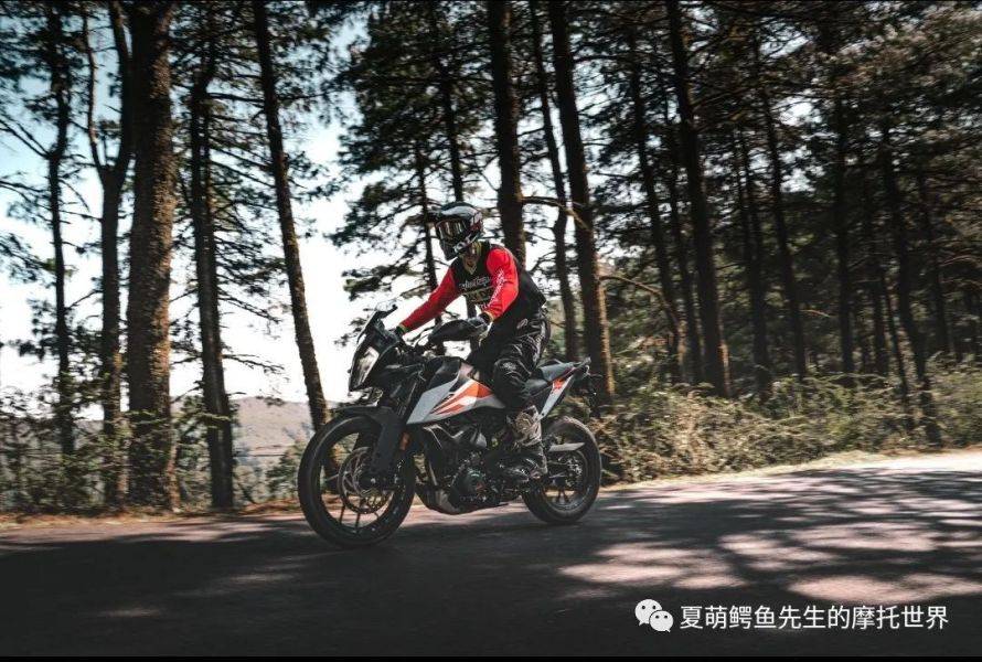 买不到本田CB400X,你还能买些什么车?