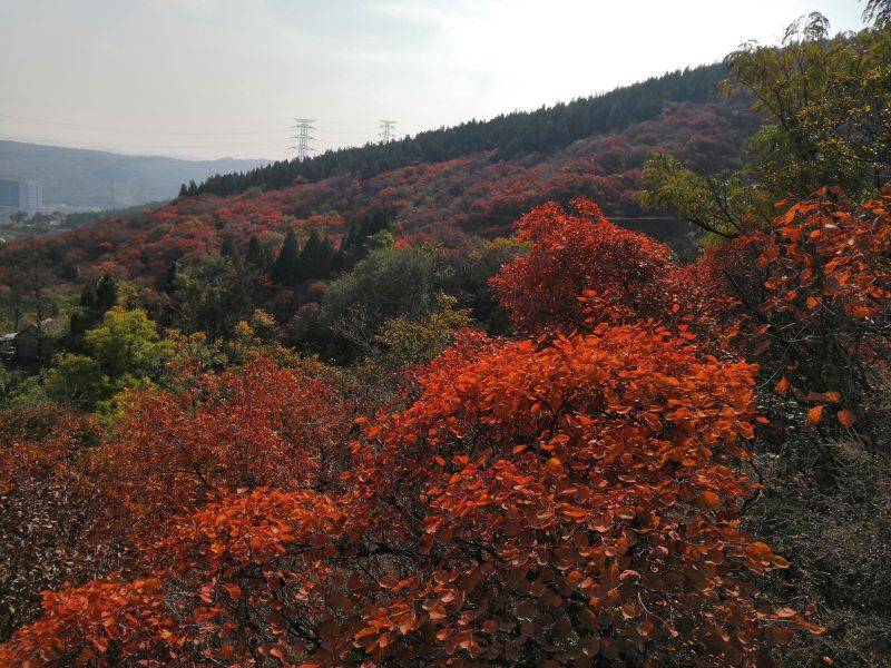 小踏板转山