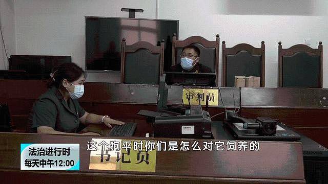 赔不赔？骑车撞狗身亡 家属索赔157万