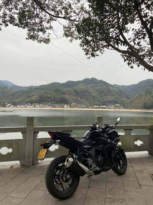 中年大叔喜提GSX250R-A，新手购车日记。