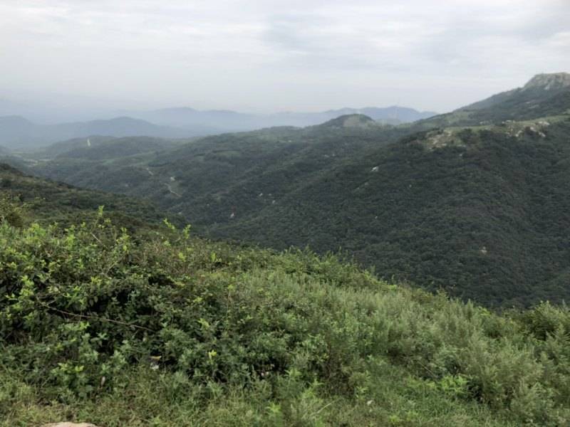 带着巧格I去兜风的一天