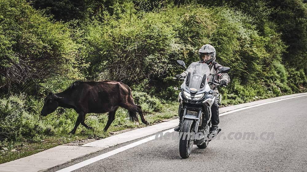 与赛科龙RX6一同领略大国风光——灵芝至拉萨